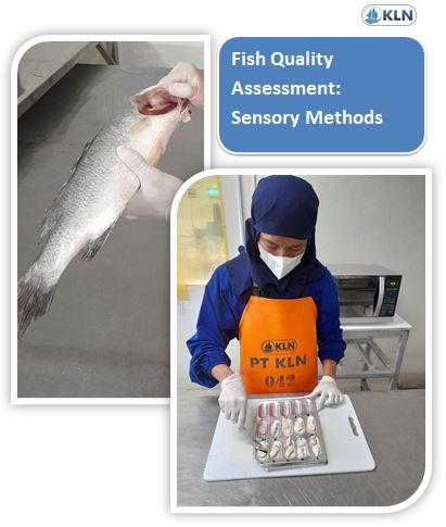 Fish Quality Assessment: Sensory Methods 